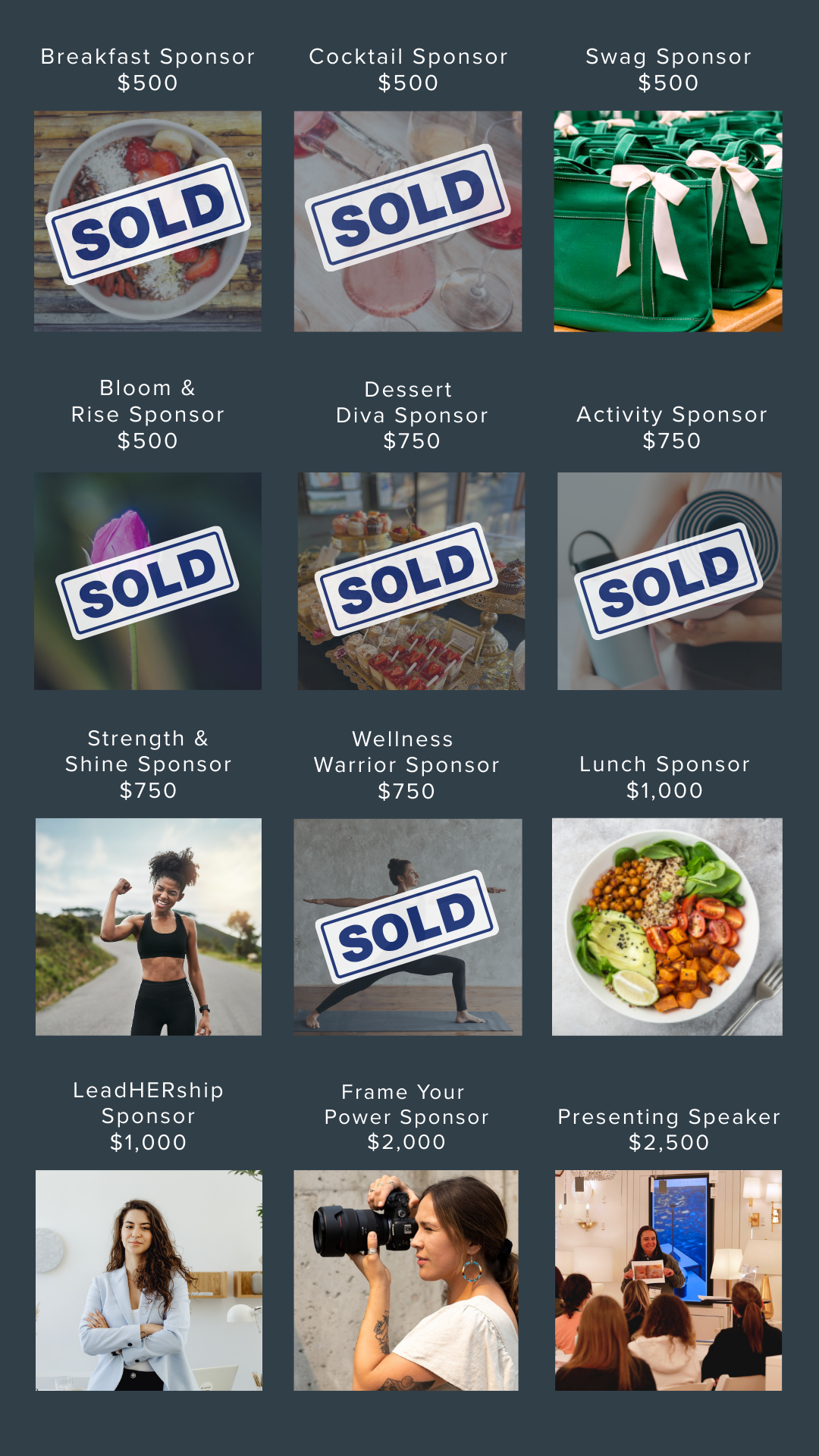 Sponsorship Options (5)